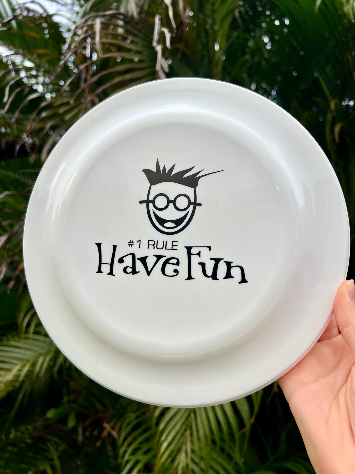 The Have Fun Frisbee | Positivity & Fun Are In The Air!